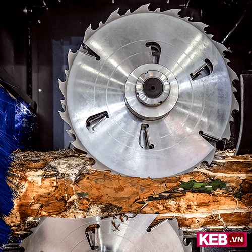 Sawblade cutting wood in woodworking machinery