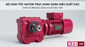 gearmotors for packaging - helical bevel gearmotor