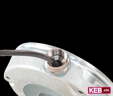 elevator brake npt fitting