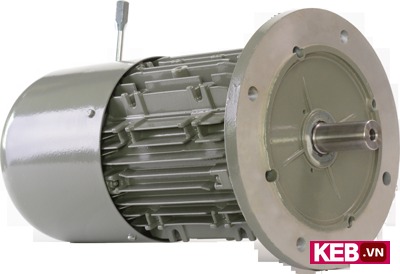 gearmotors for packaging - motor with brake and hand release lever