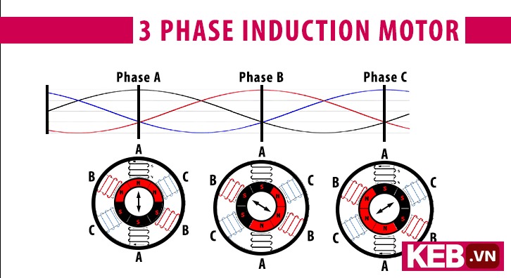 magnetic rotation for three phase induction motor